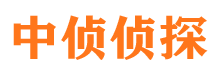 坡头市婚外情调查